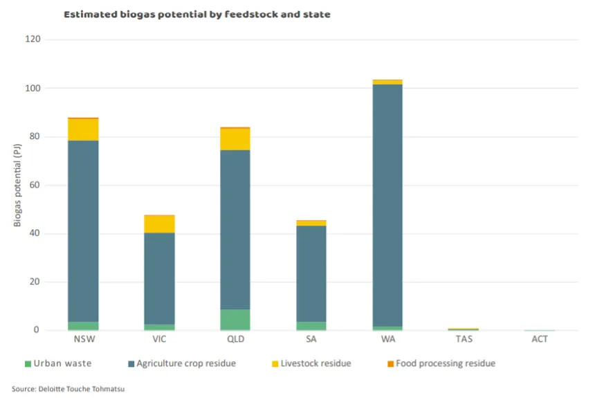Bar chart of estimated biogas potential by feedstock and state