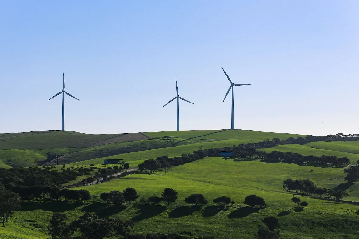 On the Way to Net Zero